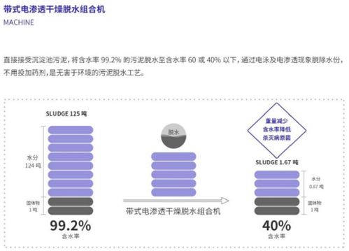 新环环保 污泥处置先进技术产品服务商