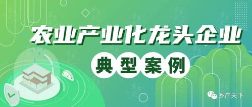 银川市精品水稻产业联合体 服务促联合 种粮也赚钱 龙头企业典型案例